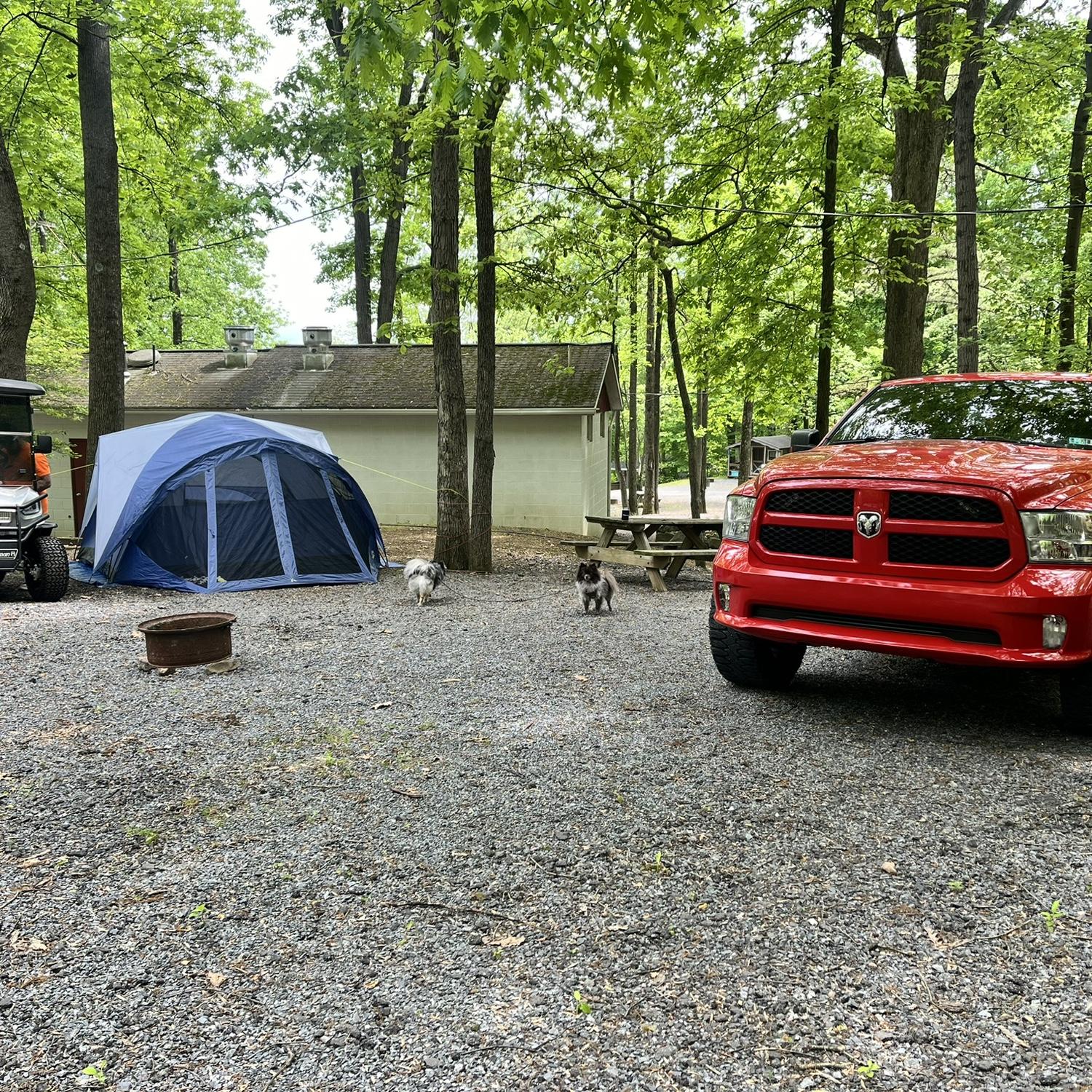We went on our first tent camping trip, which inspired us to go bigger!