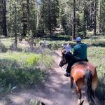 Alpine Meadows Stables