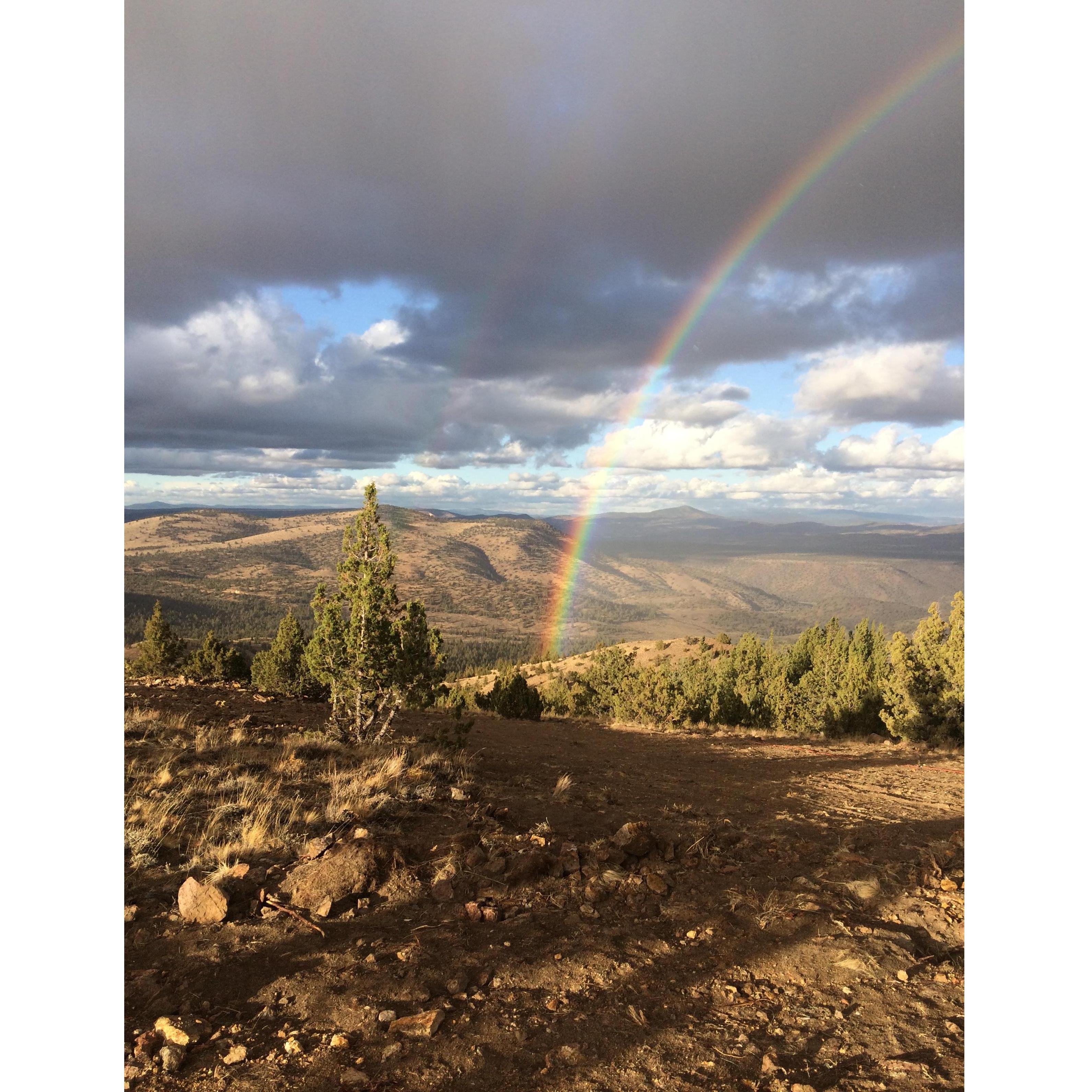 Rocky Ridge Back Yard Views