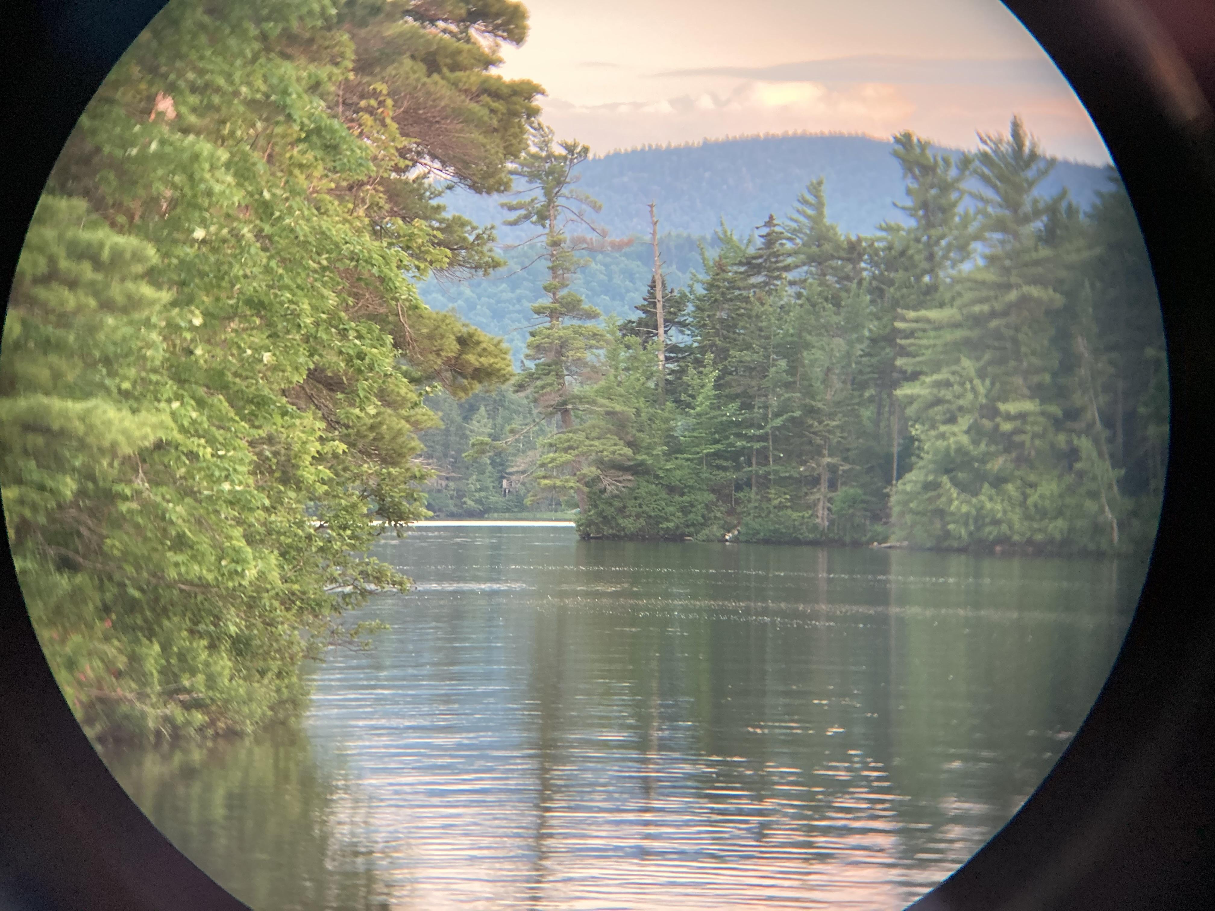 The Wedding Website of Maggie Birnbaum and Andreas Tellman