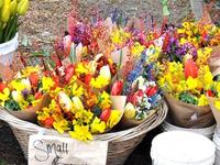 Proctor Farmers' Market