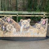 Philadelphia Zoo