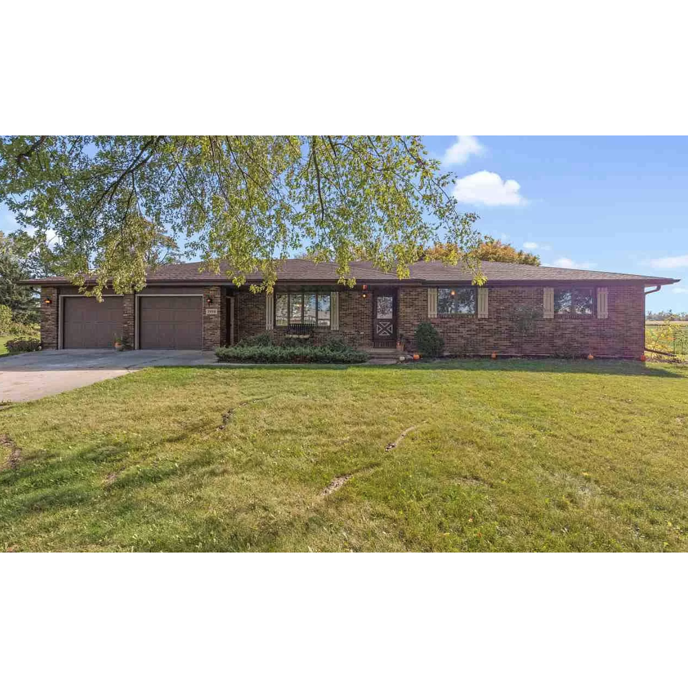 2020. Bought a house in the DePere area with 1.5 acres. It was important to have a big yard for Atlas to play in!