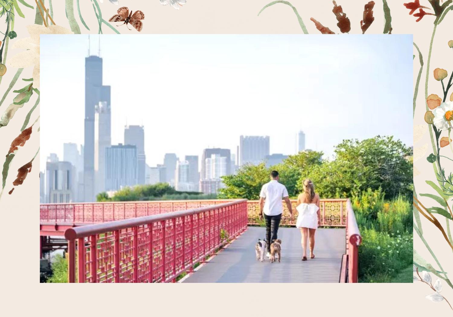 d25f2085-2143-499c-9dc0-3be6ec179ef6