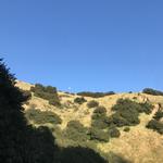 Jazmine’s Favorite Hike (Los Feliz)