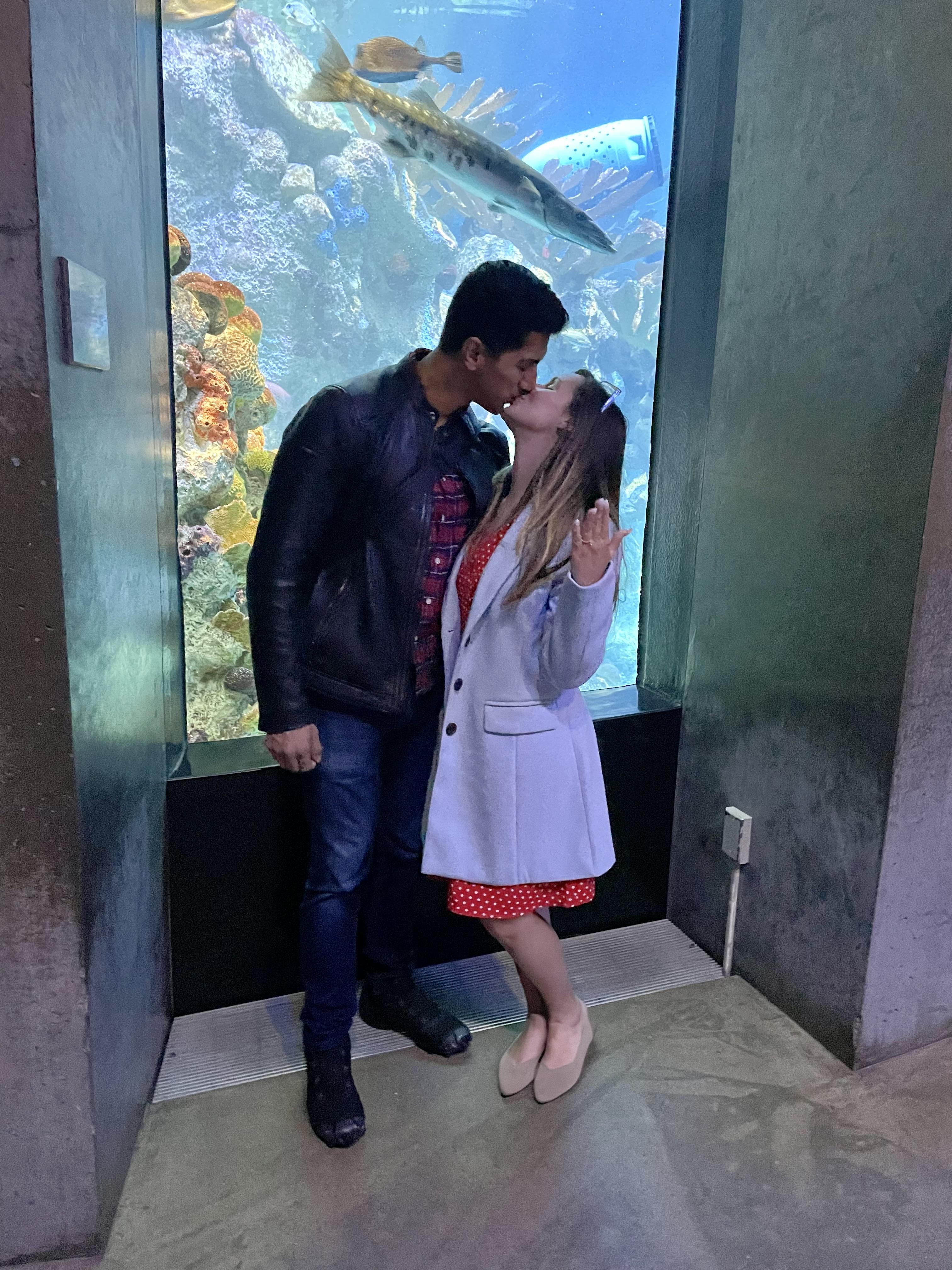 d2604cbf-ebcd-4288-b377-0db67969c85a