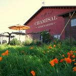 Chamisal Vineyards