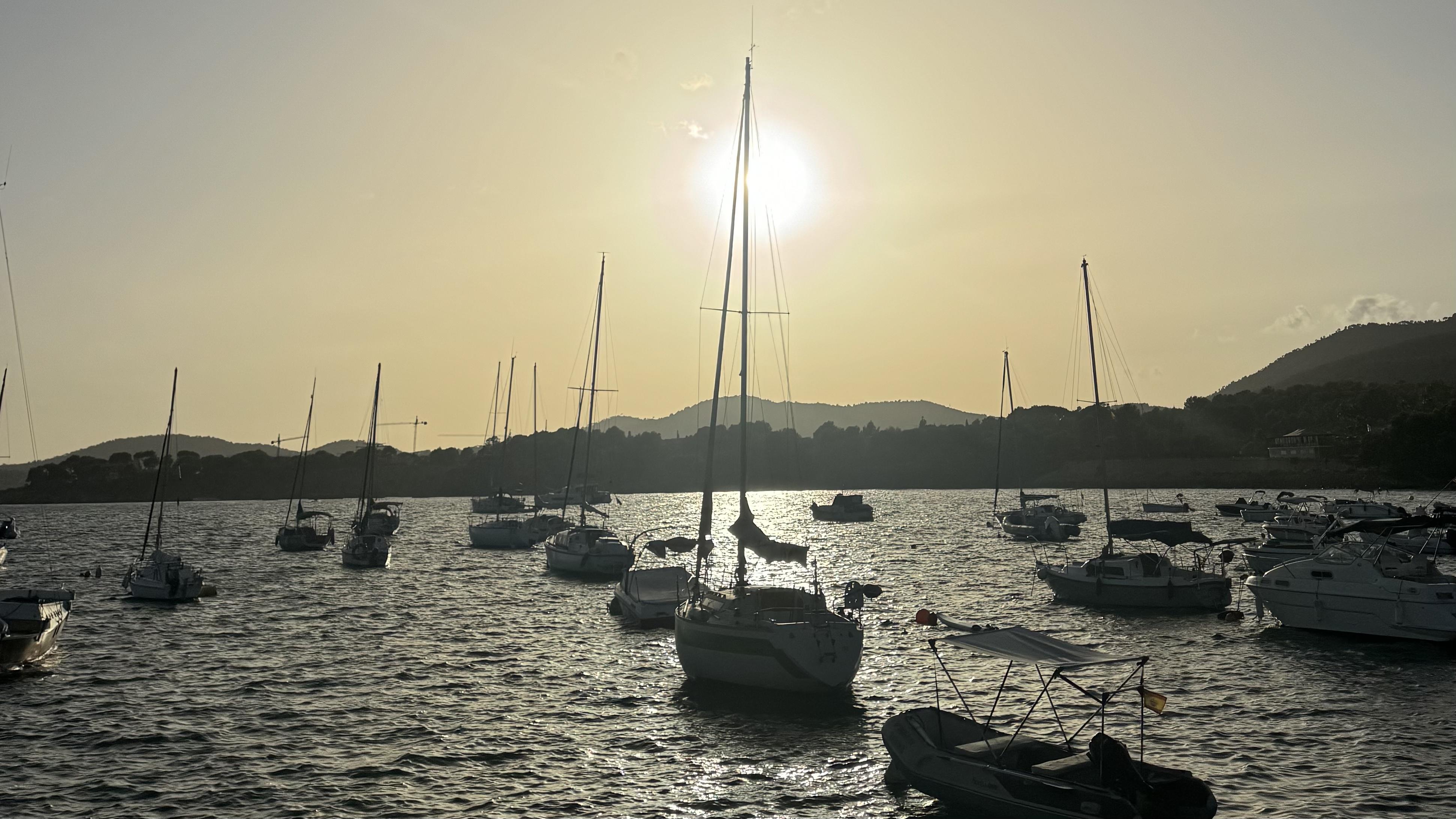 The Wedding Website of Esme McGhee and Oladapo Afolayan