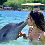 Anthony's Key Resort