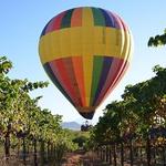 A Grape Escape Balloon Adventure