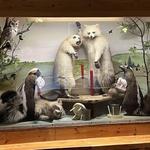 Moccasin Bar