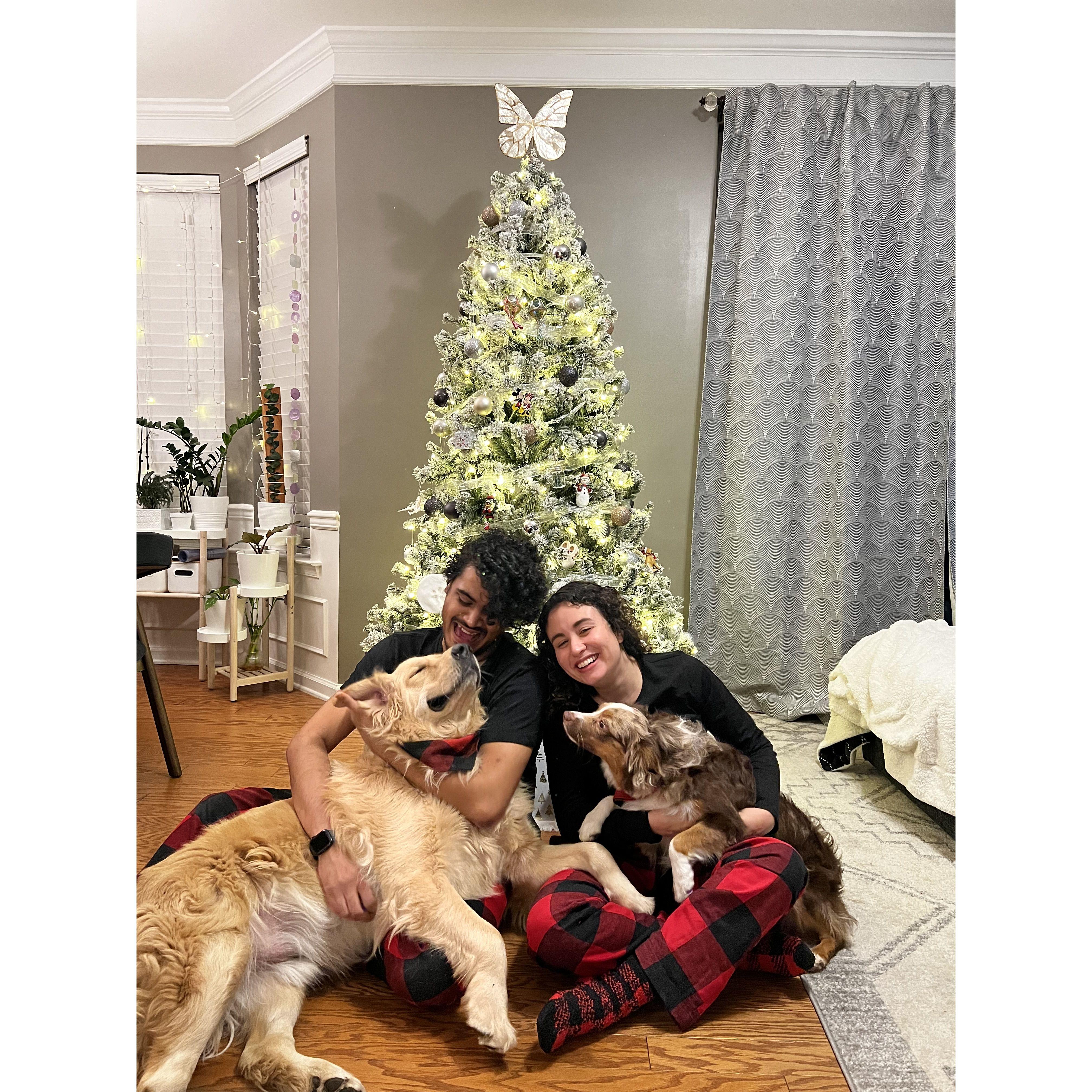 Christmas at our home 2023.