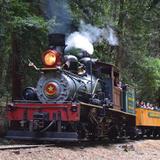 Roaring Camp