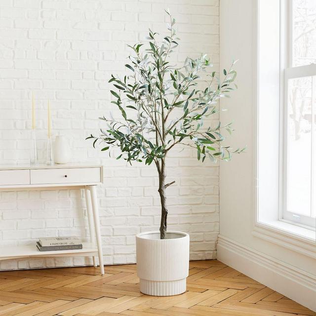 Olive Tree + Large White Fluted Planter Bundle