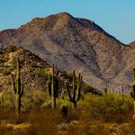San Tan Mountain Regional Park