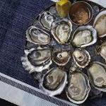 Taylor Shellfish Farms
