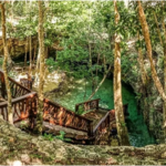 Gran Cenote