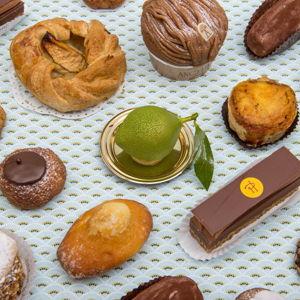 Treats Fund