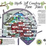 Myrtle Hill Cemetery Tree Tours
