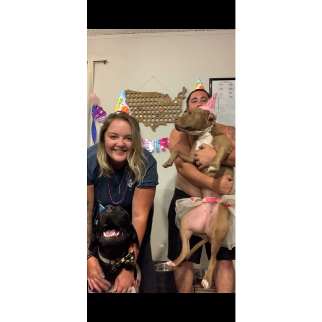 Dixie and Tucker celebrating a birthday