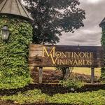 Montinore Estate Vineyard