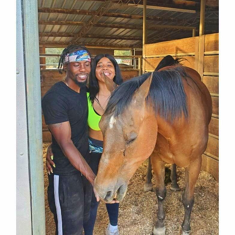 California - Horse Sanctuary