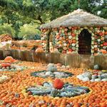The Dallas Arboretum and Botanical Garden