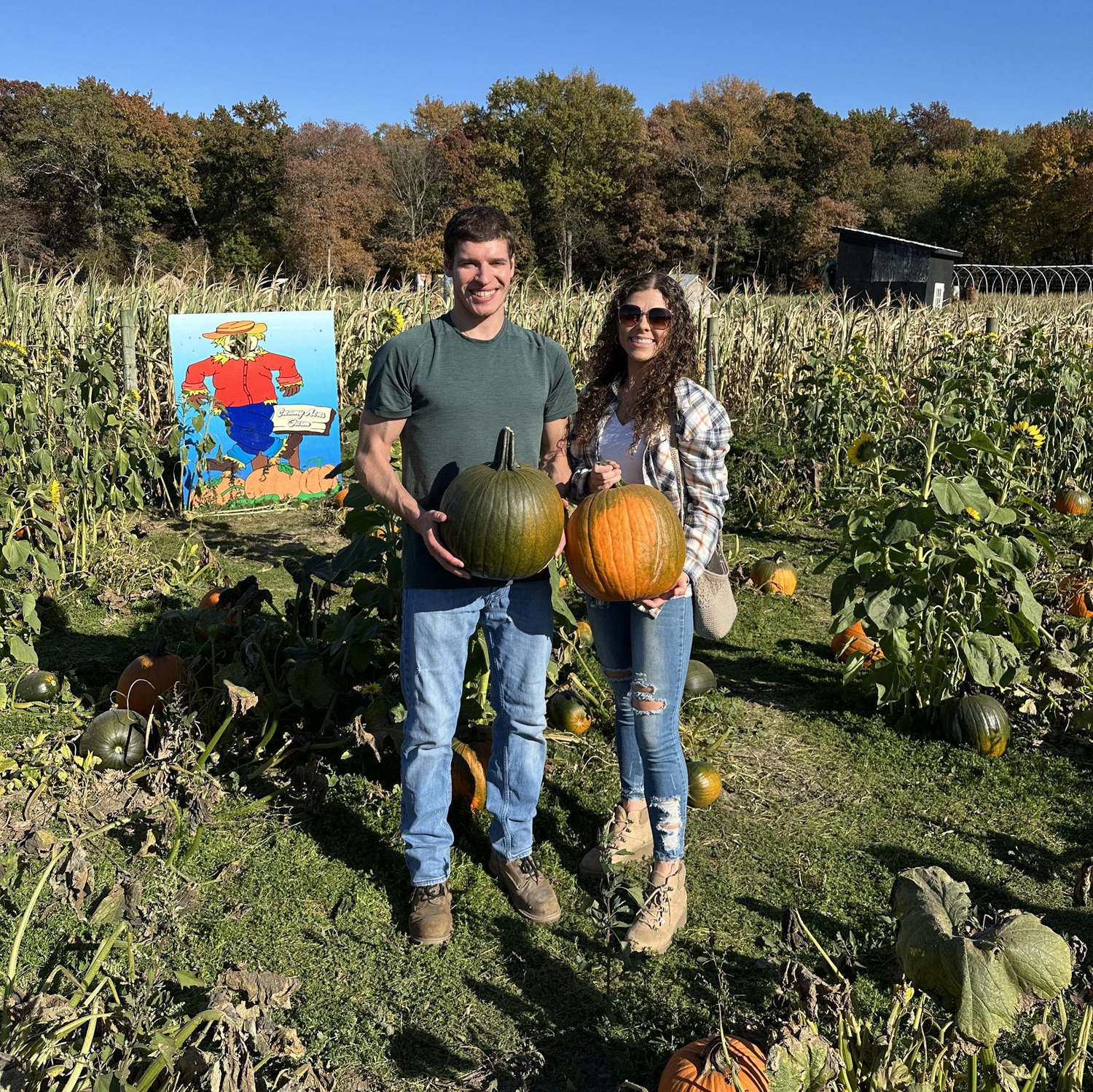 Creamy Acres, 10/19/24