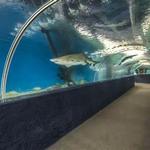 Greater Cleveland Aquarium