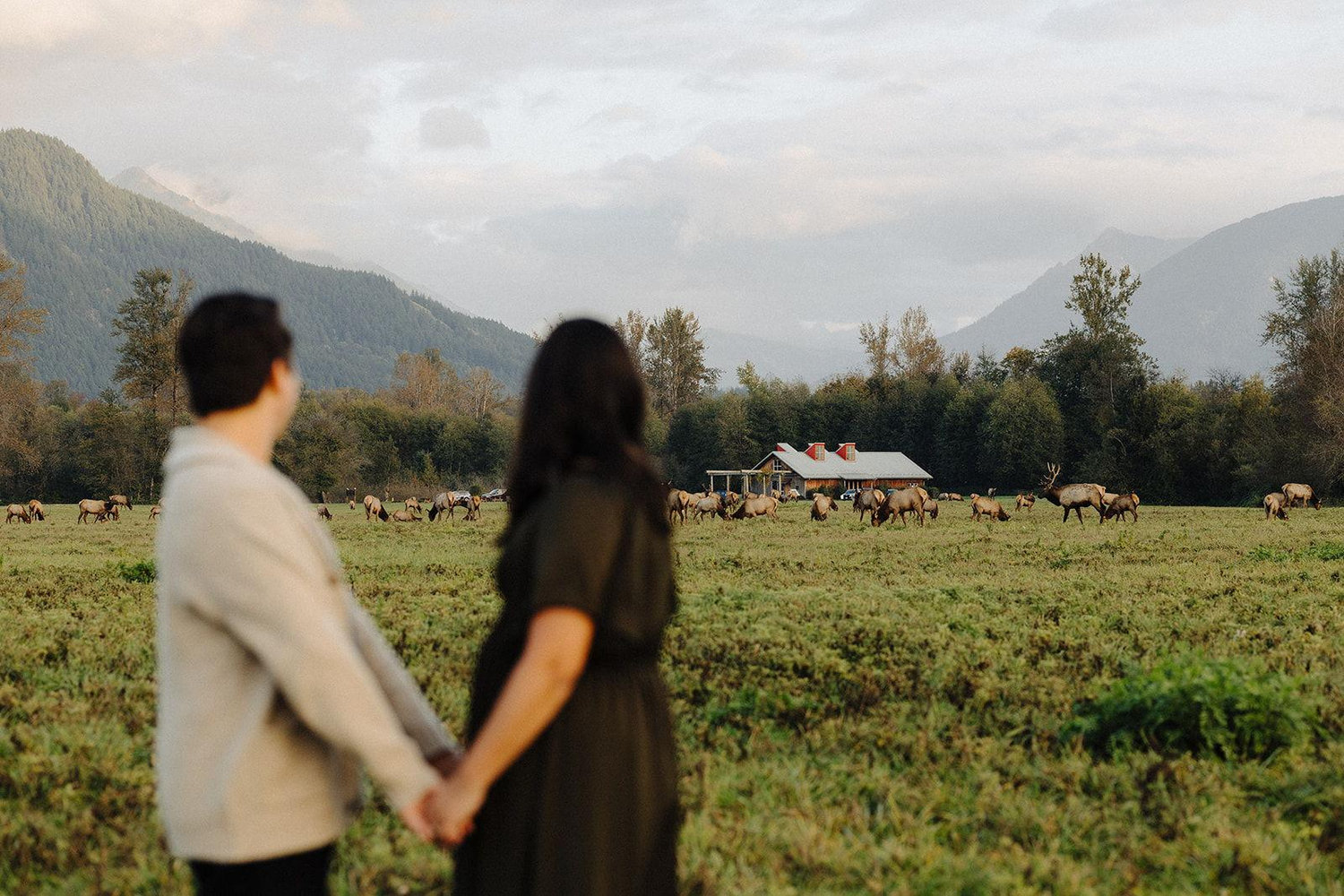 The Wedding Website of Cassandra Marcotte and Sean Hoon
