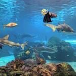 Ripley's Aquarium of Canada