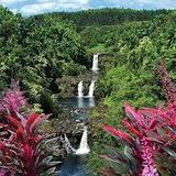 The Umauma Experience