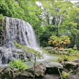 Iveagh Gardens