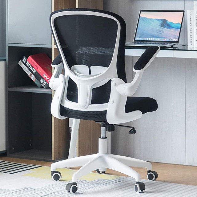 Sytas Office Chair Ergonomic Desk Chair Computer Task Mesh Chair with Flip-up Arms Lumbar Support and Adjustable Height，White