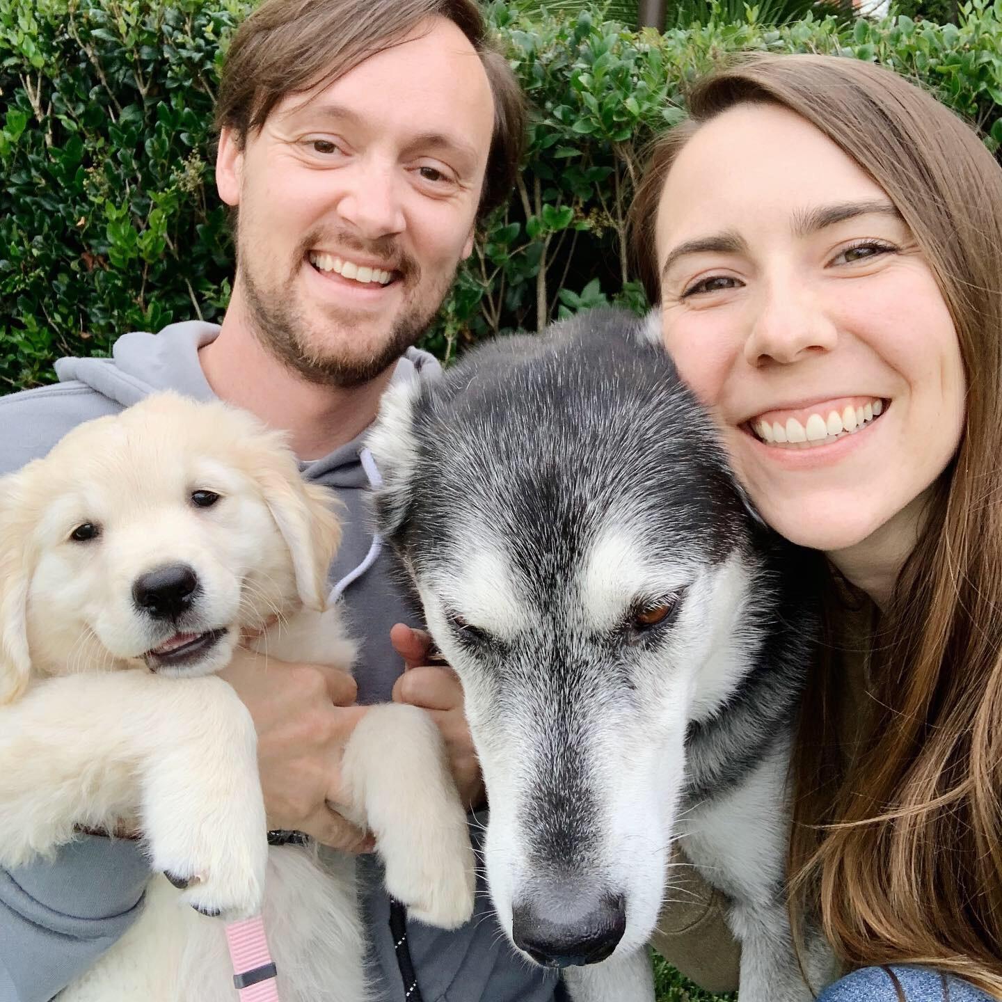 Our newest family member, Bailey!