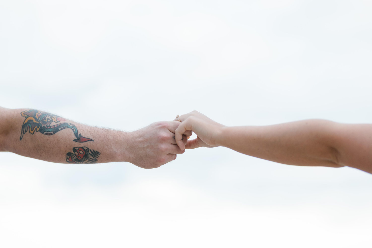 The Wedding Website of Micaela DeFelice and Christopher Harvey