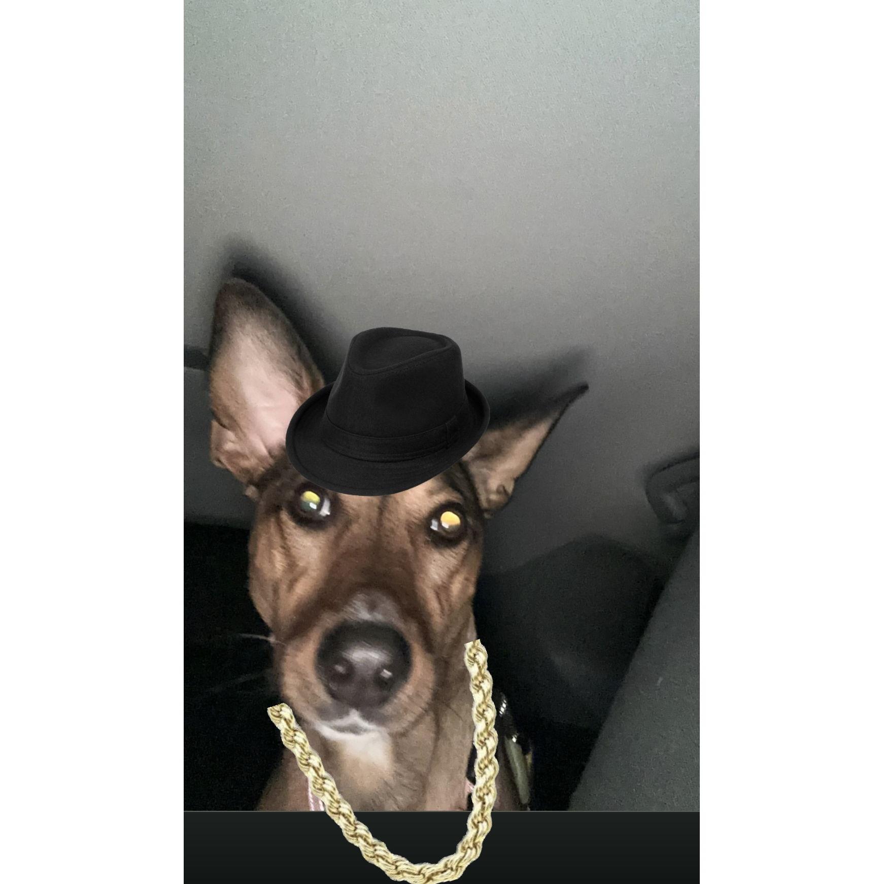 Mookie ... don't ask.