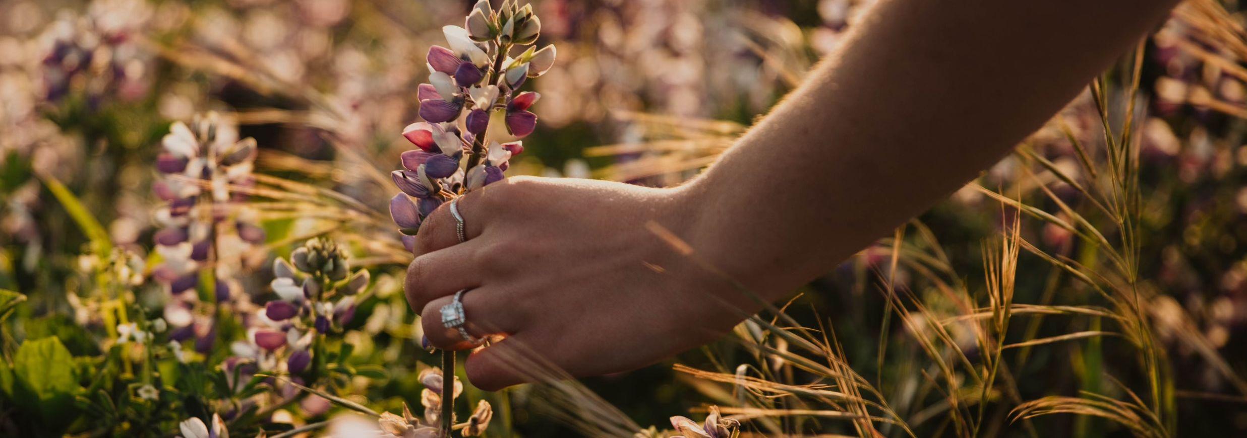 d27863fe-798b-419a-a842-5ab0f46ff686