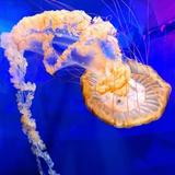 North Carolina Aquarium on Roanoke Island