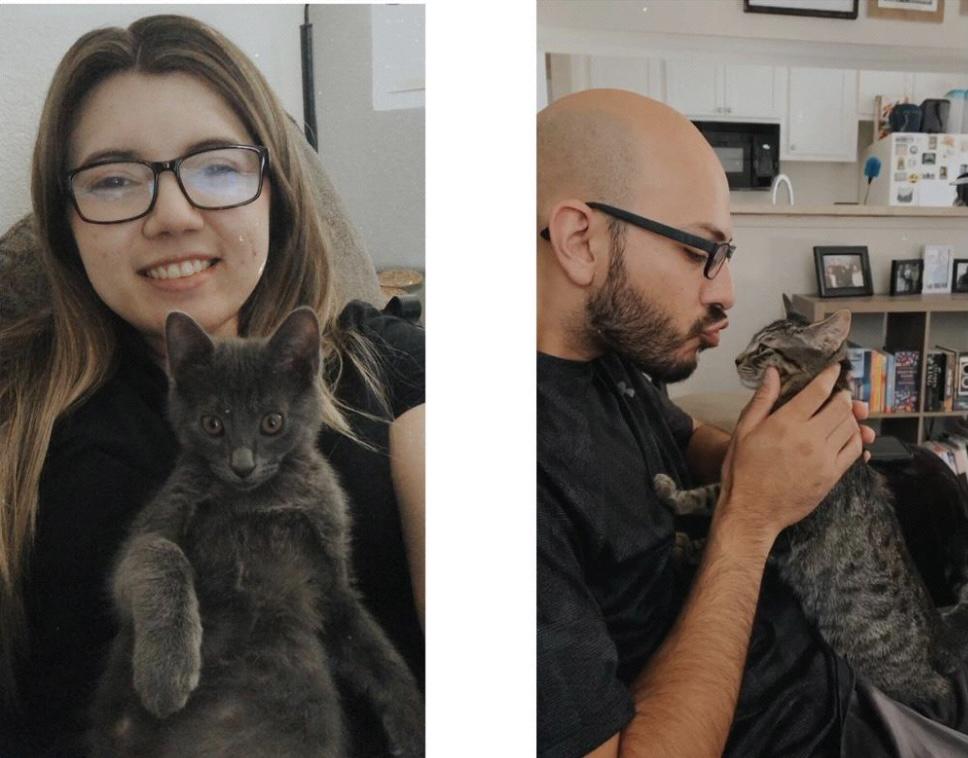 Our cats , Boba & Fez