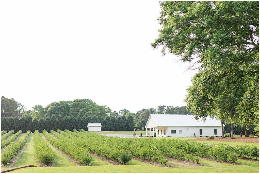 The Wedding Website of Kaitlyn Frame and Mitchell Mannino