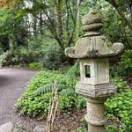 Bellevue Botanical Garden