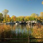 Bay Beach Wildlife Sanctuary