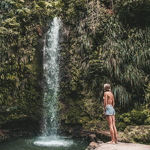Rainforest Waterfall Hike/ ATV Ride