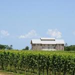 Kontokosta Winery