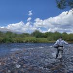 Fly Fishing the Big Thompson River