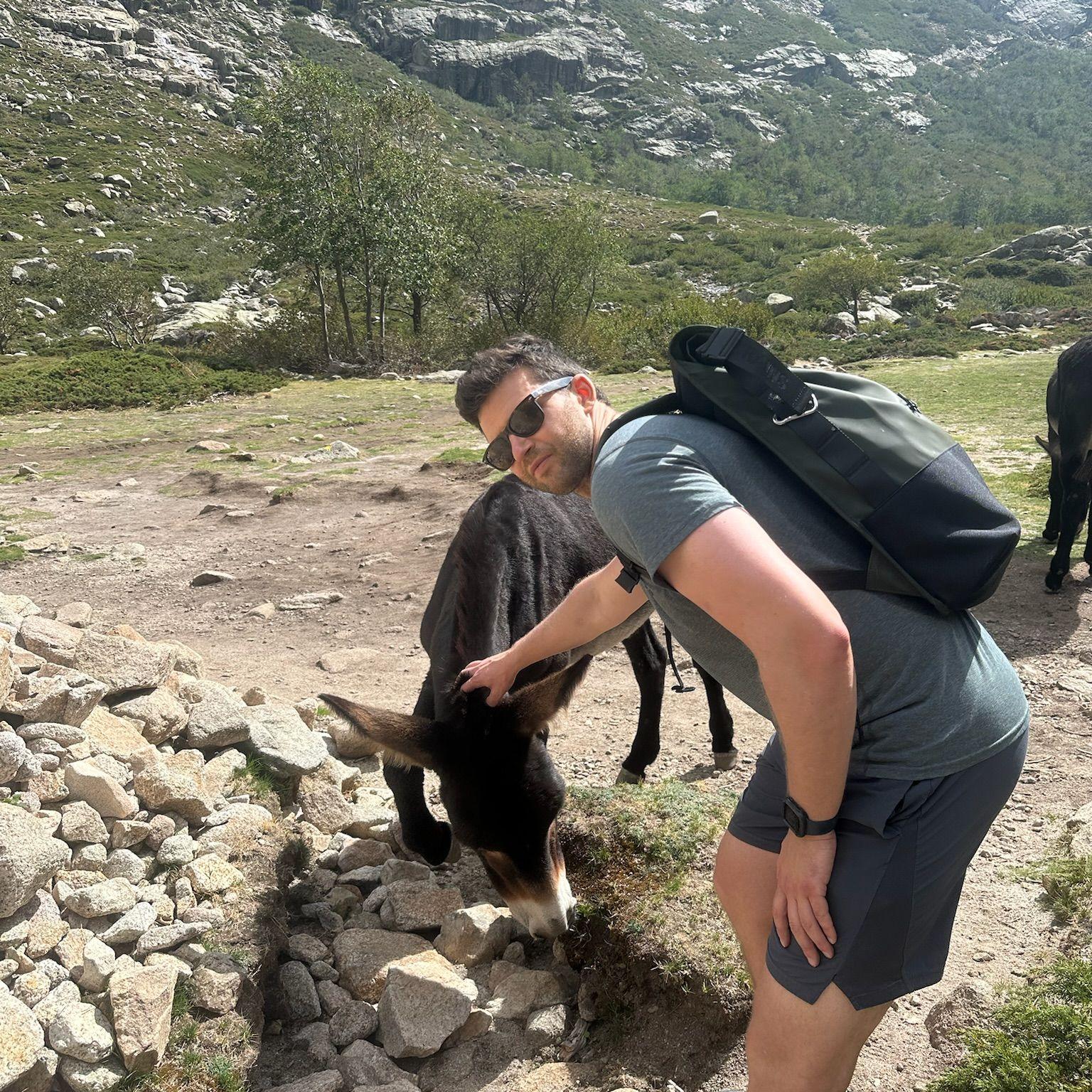 Hiking in Corsica featuring donkeys