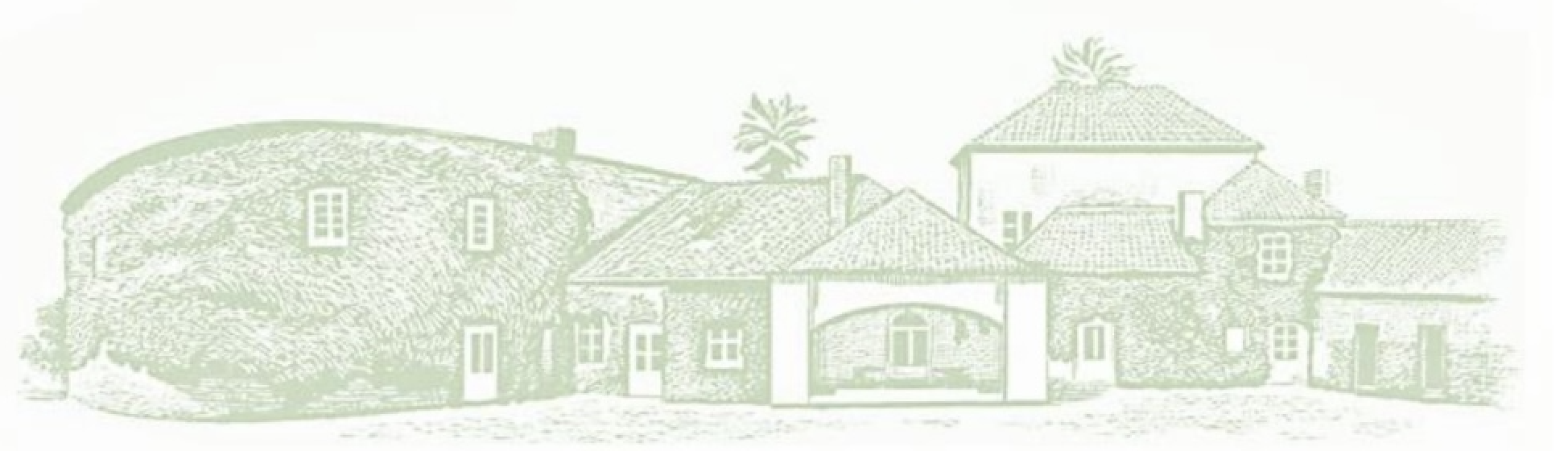 The Wedding Website of Anna Sehlmeyer and Joao Maria Silva