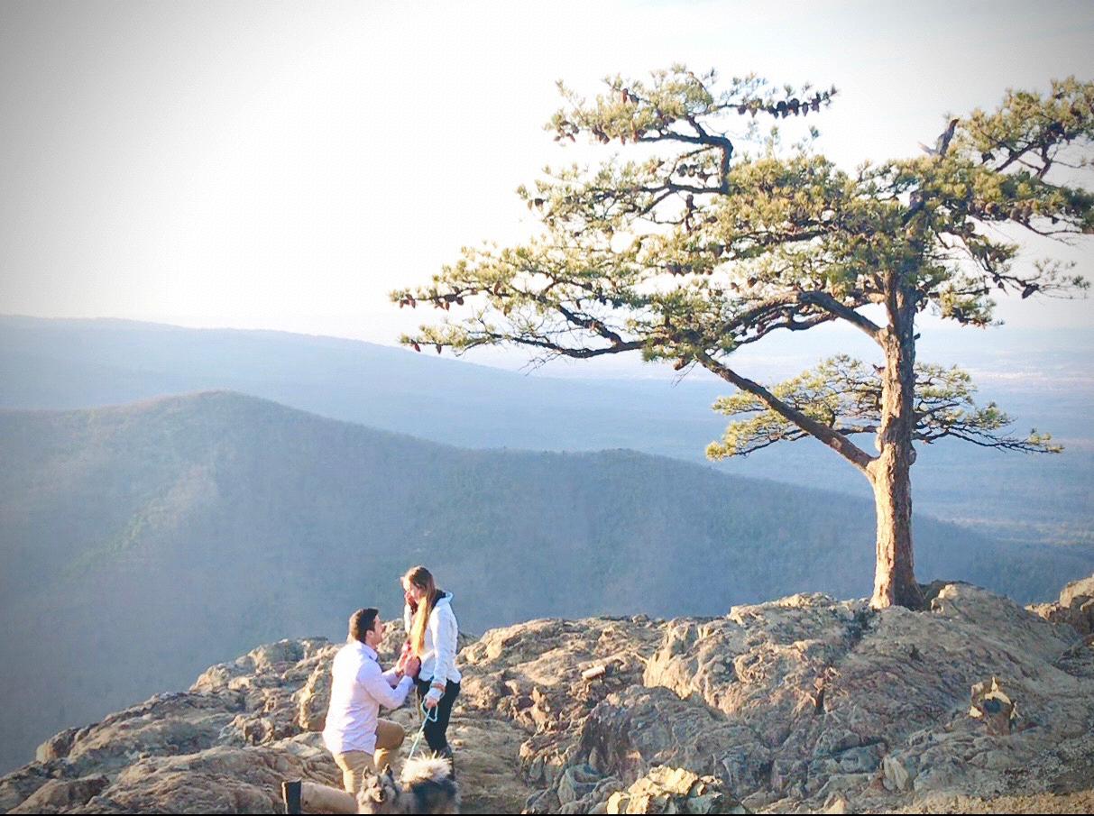 Proposal at Raven's roost