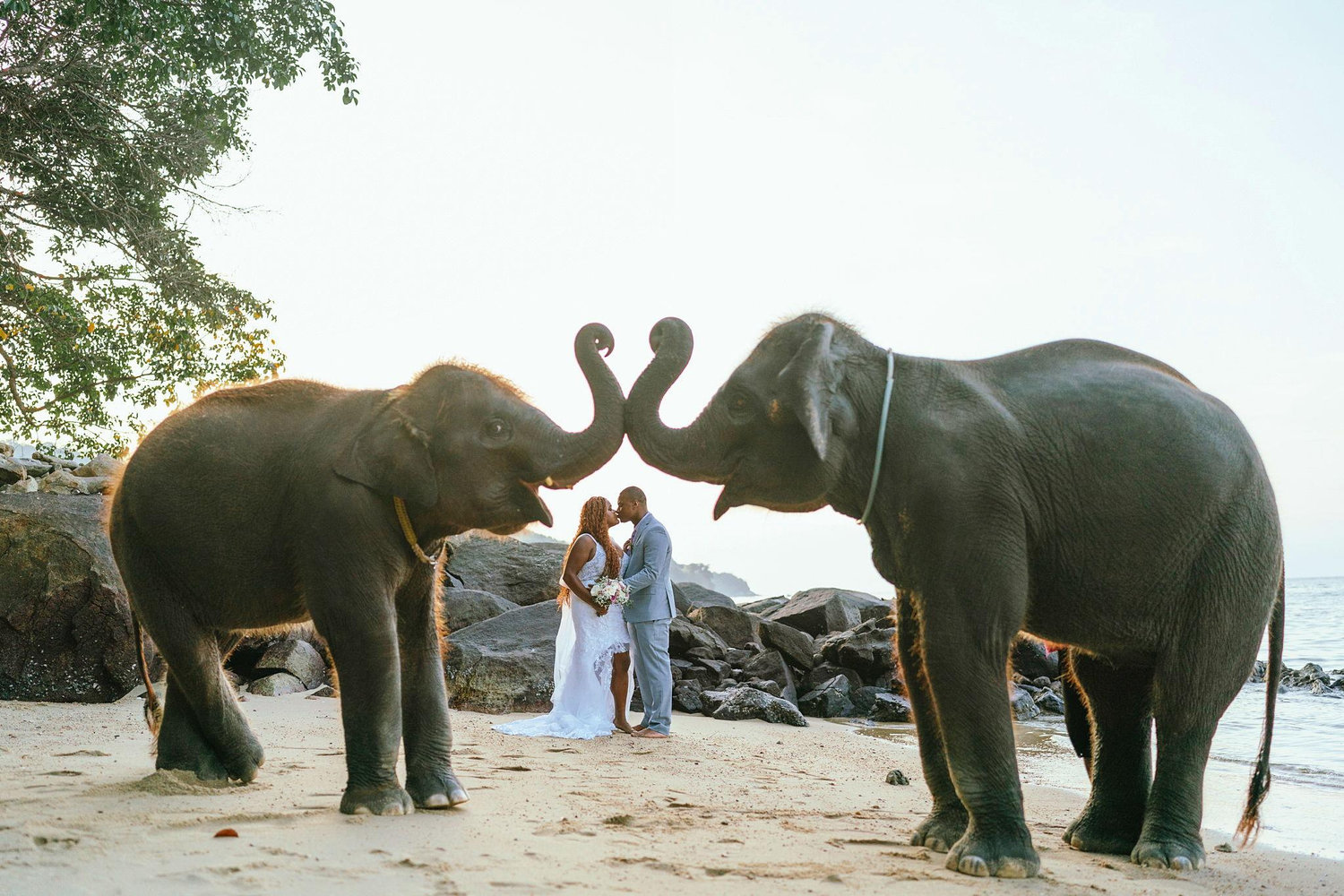 The Wedding Website of Avril Gaines and Devin Gaines